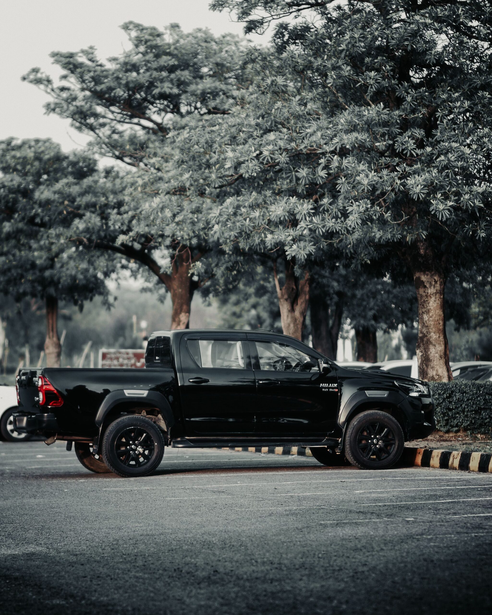 Side view of a black Toyota Hilux pickup truck parked among trees.